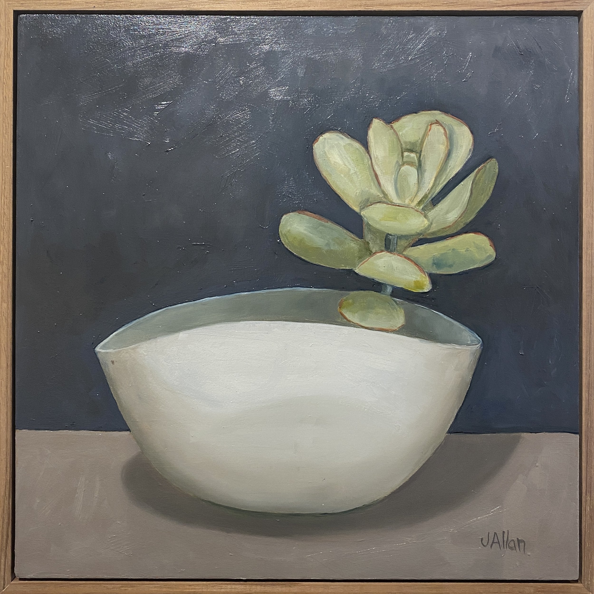 11. Ceramic Bowl with Succulent | $750 SOLD