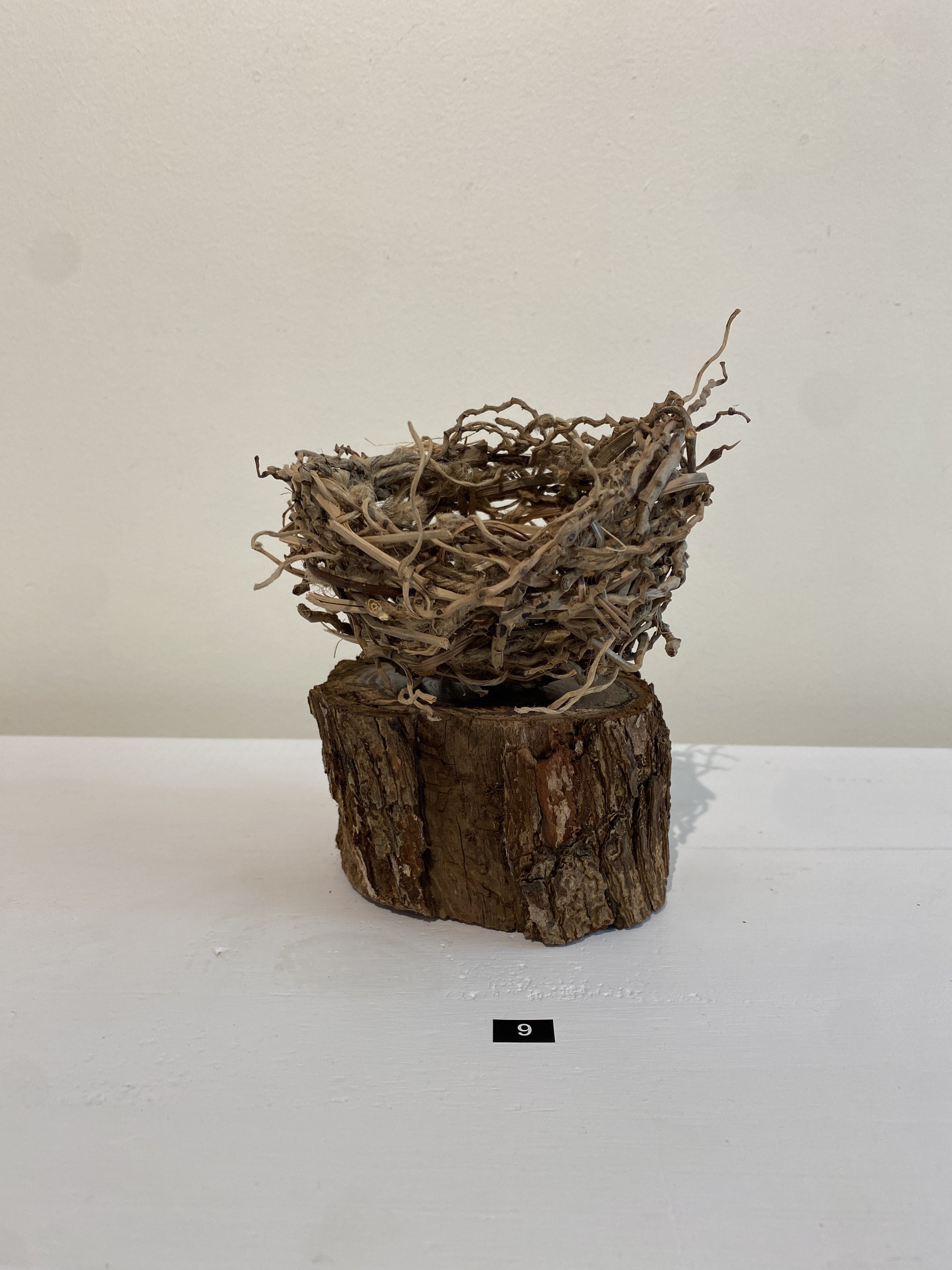 09. Empty Nest on Wood | $42