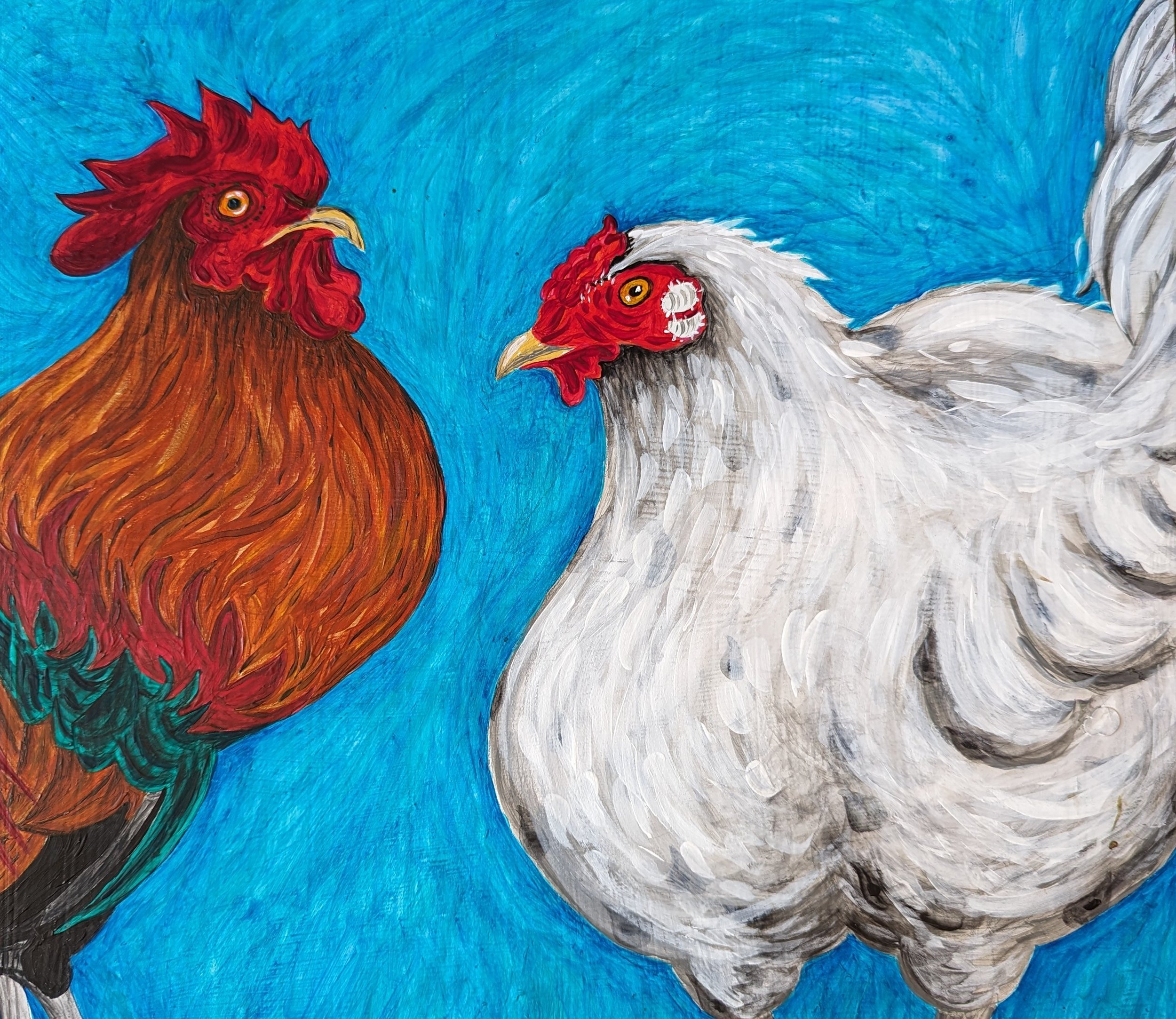 Cuckoo Rosecomb Rooser and White Cochin Hen.jpg