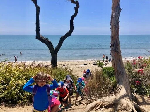 Field Trip Adventure   