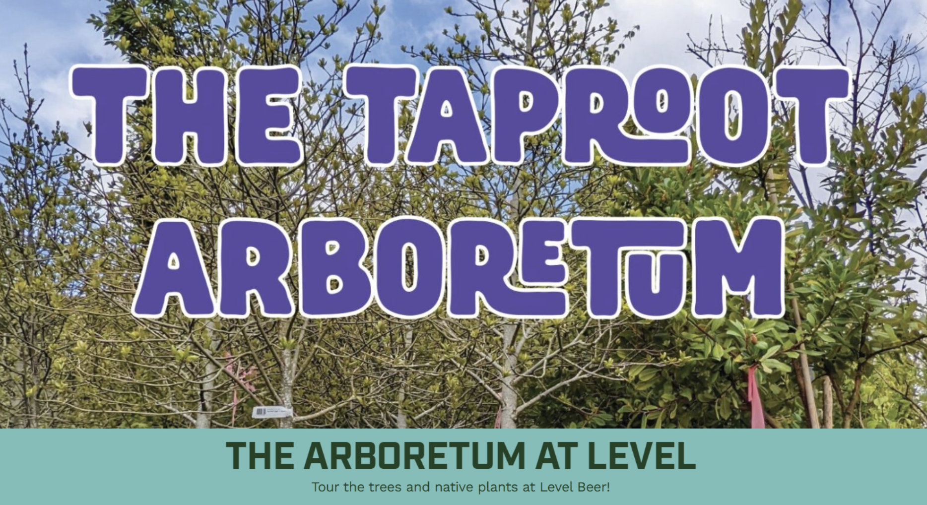 Hot August Nights at the Taproot Arboretum