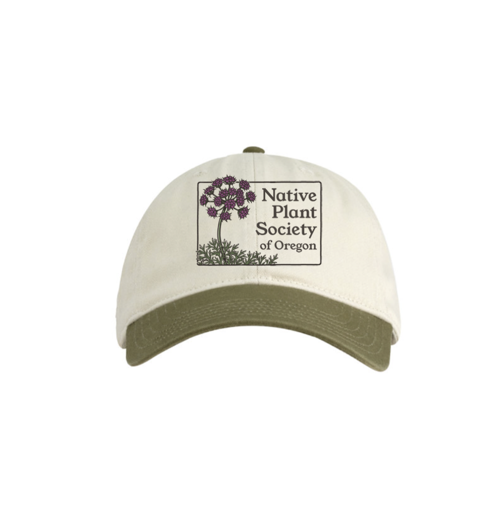 Twill Baseball Cap