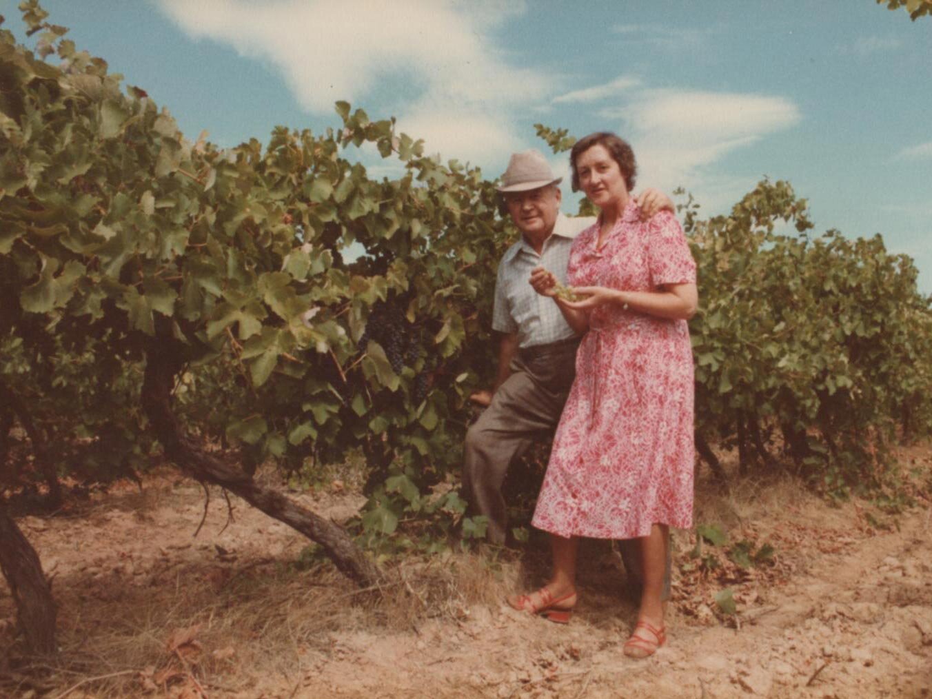  Paul Snr and Rosalie Osicka amongst Shiraz vines at the Paul Osicka Winery in Australia. 