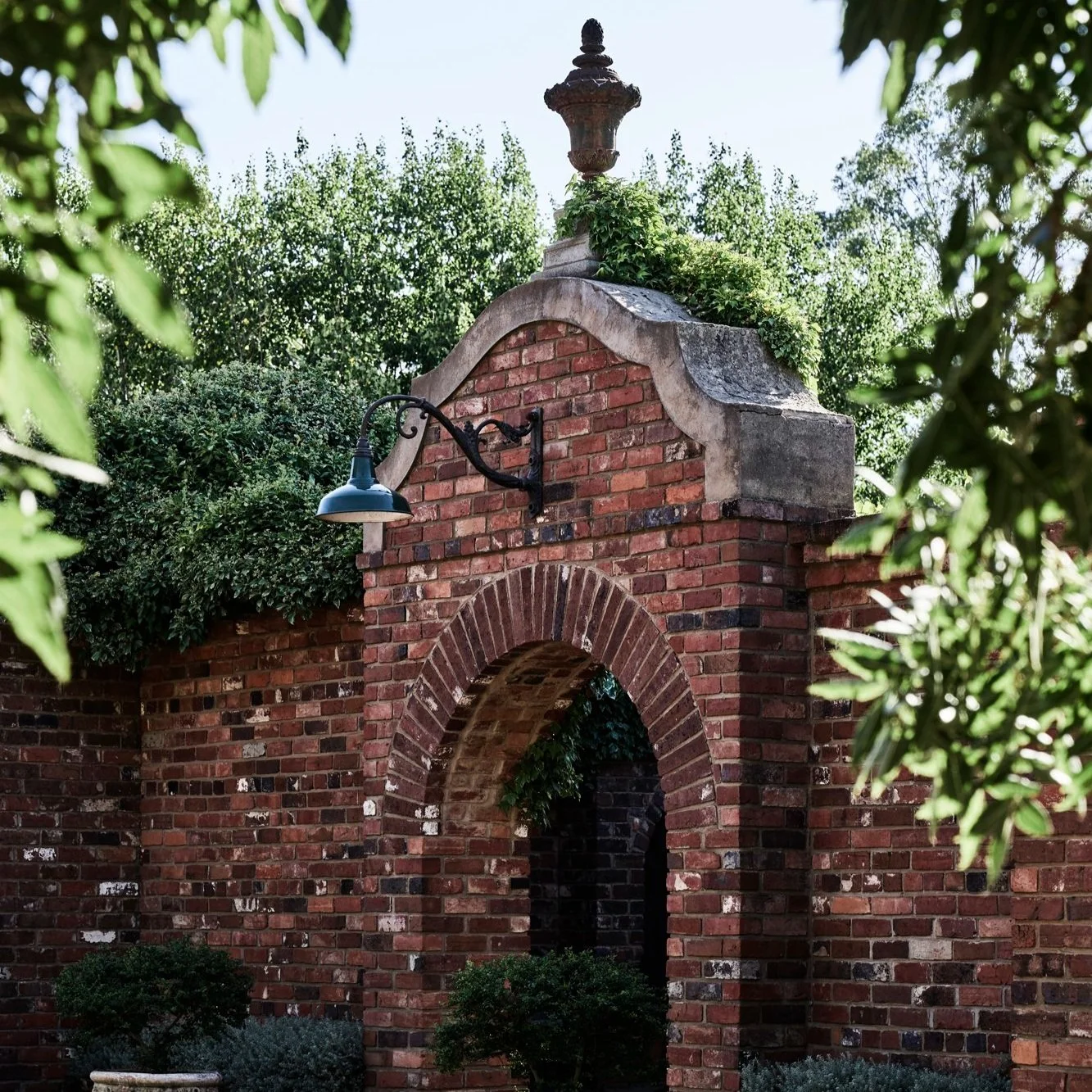  Cellar Door Entrance 