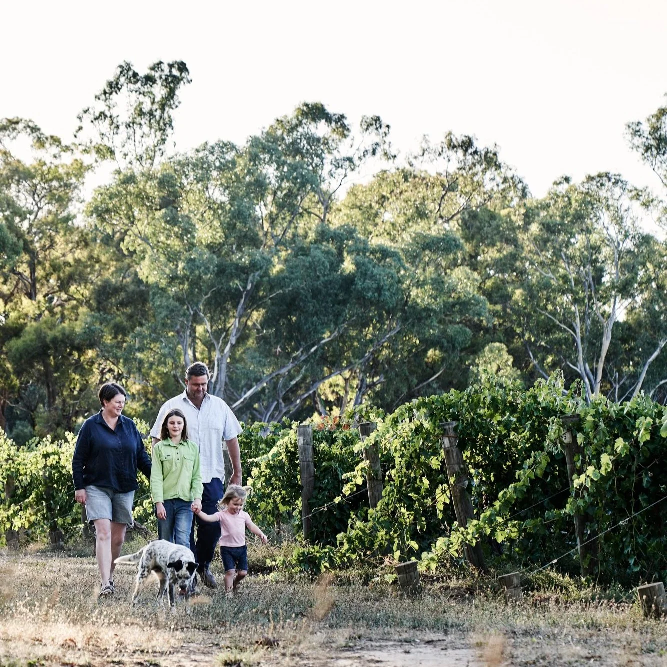  Simon, Alison, Zoe, Matilda and Spot the dog 