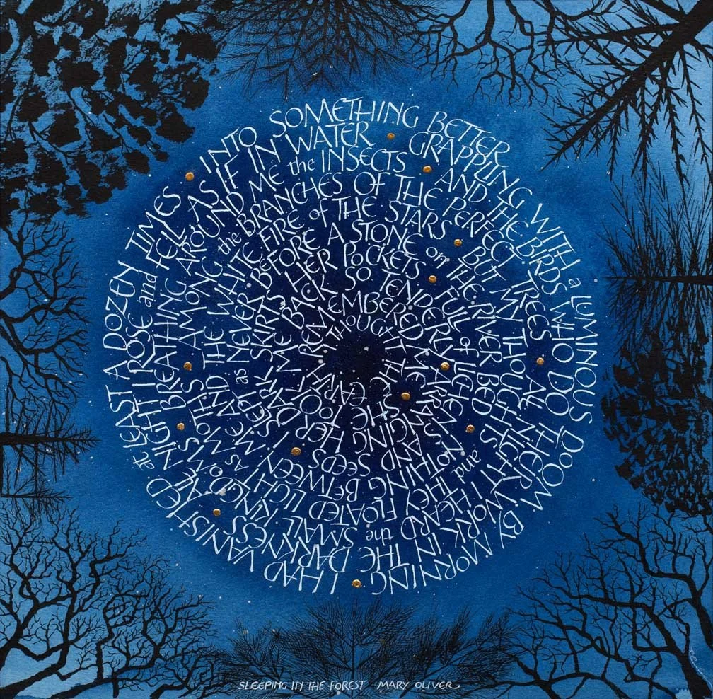Sleeping in the Forest_web.jpg