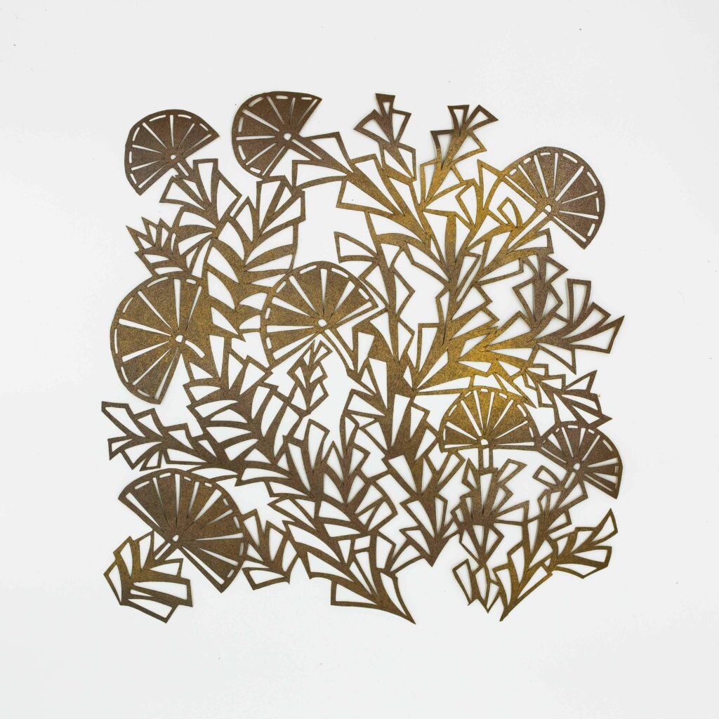 Licomorpha | Cut Paper