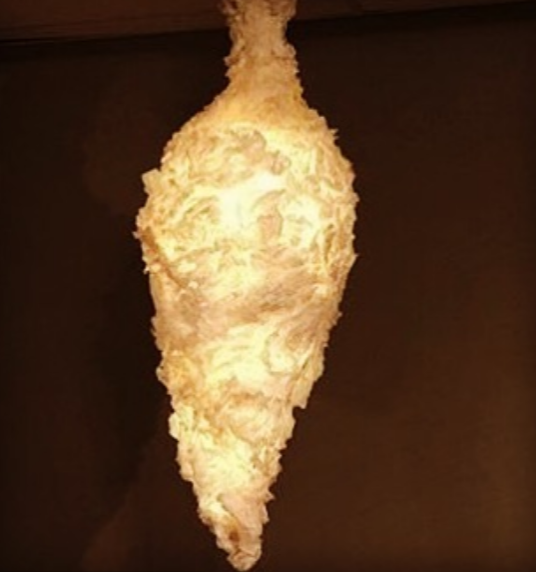 Chrysalis (latern)