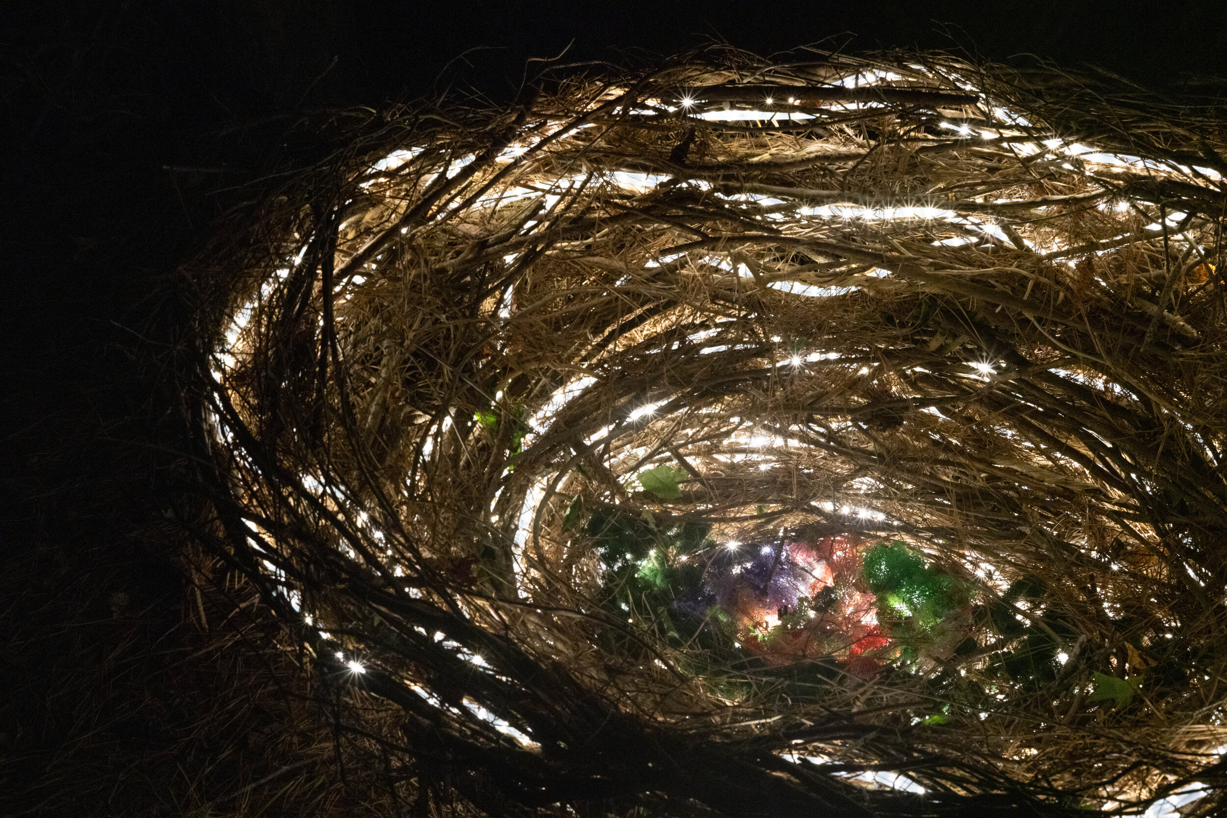 Nest, detail of larger temporary and site-specific installation