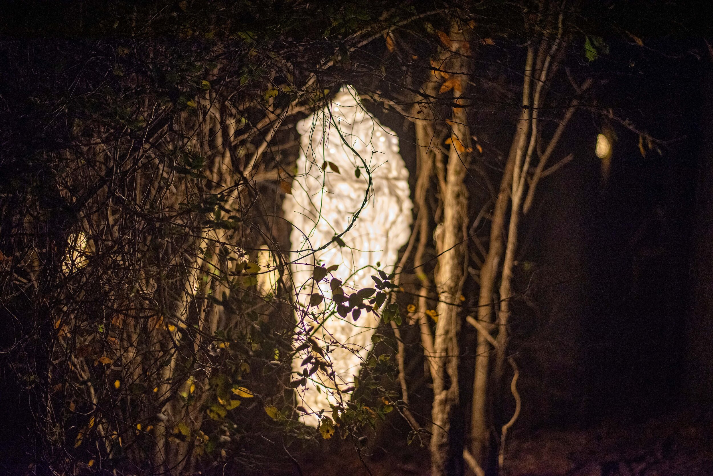 Wasp Nest, detail of temporary site-specific installation