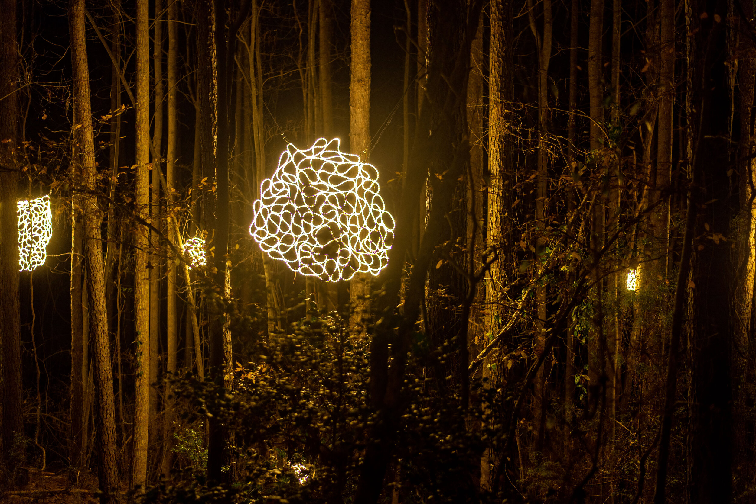 Webs, detail of larger site-specific installation