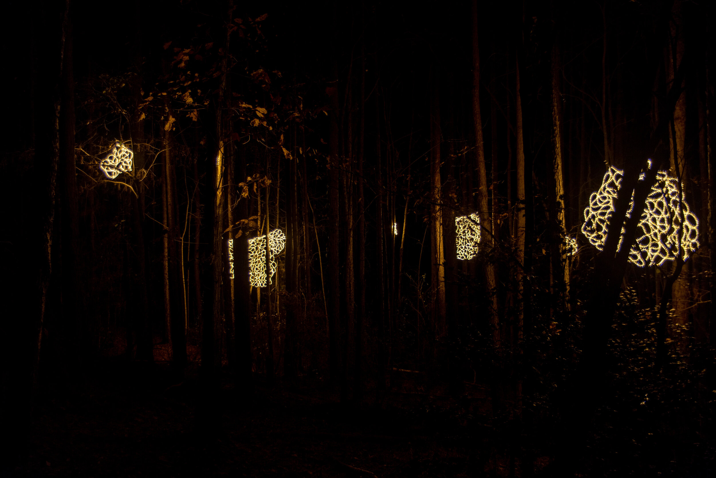 Webs, portion of larger temporary site-specific installation 