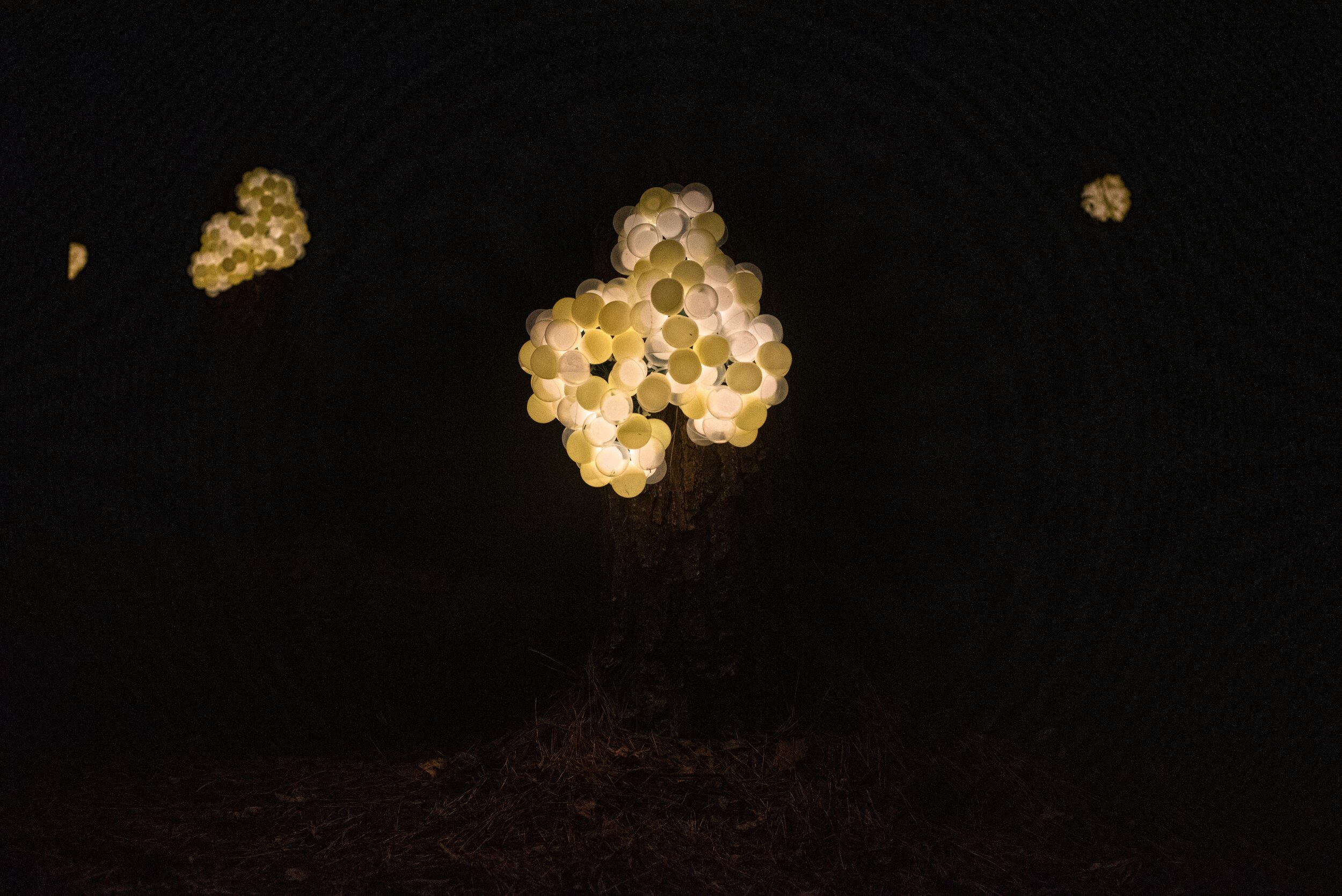 Butterfly Eggs, detail of larger site-specific installation