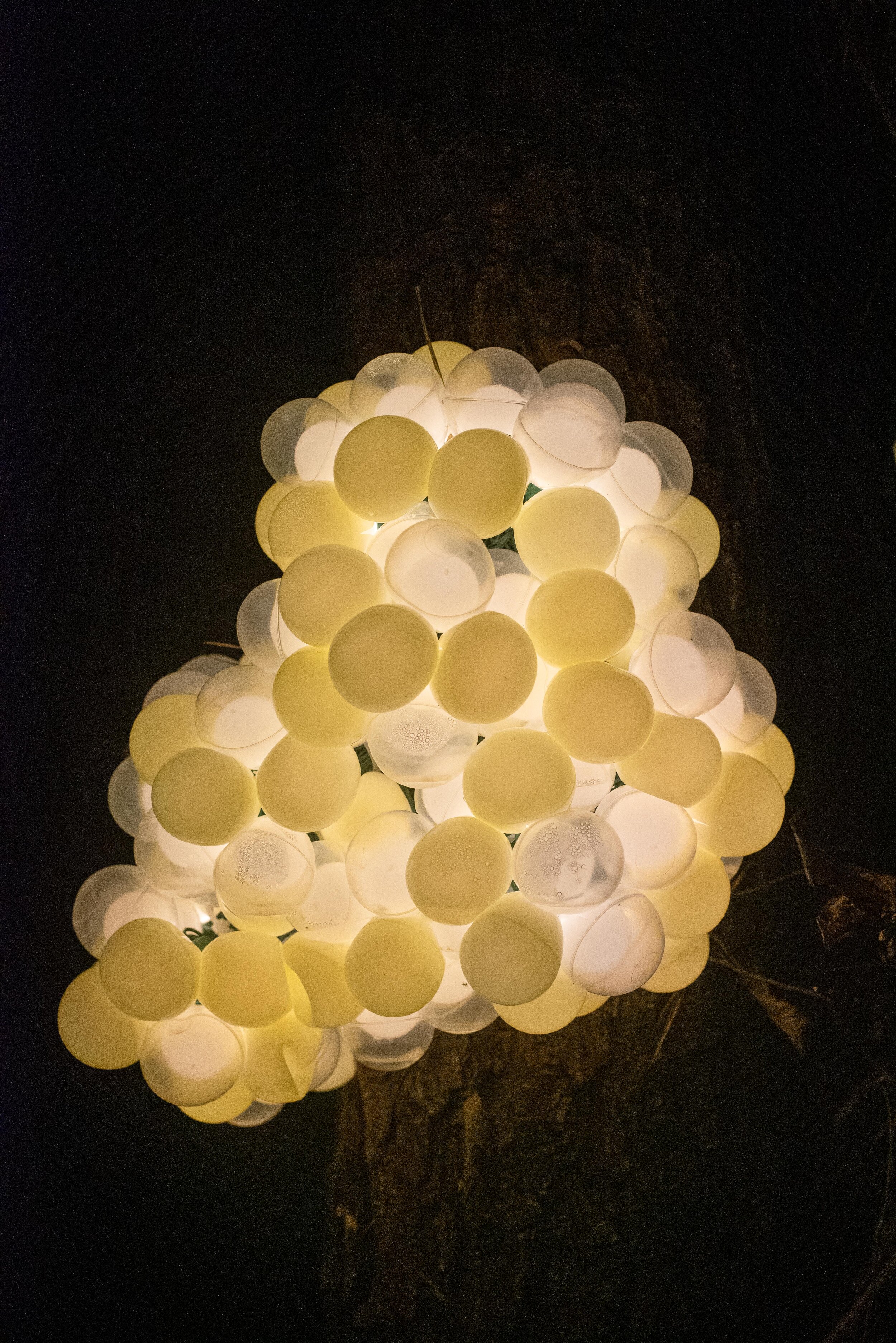 Butterfly Egg, detail of larger temporary site-specific installation