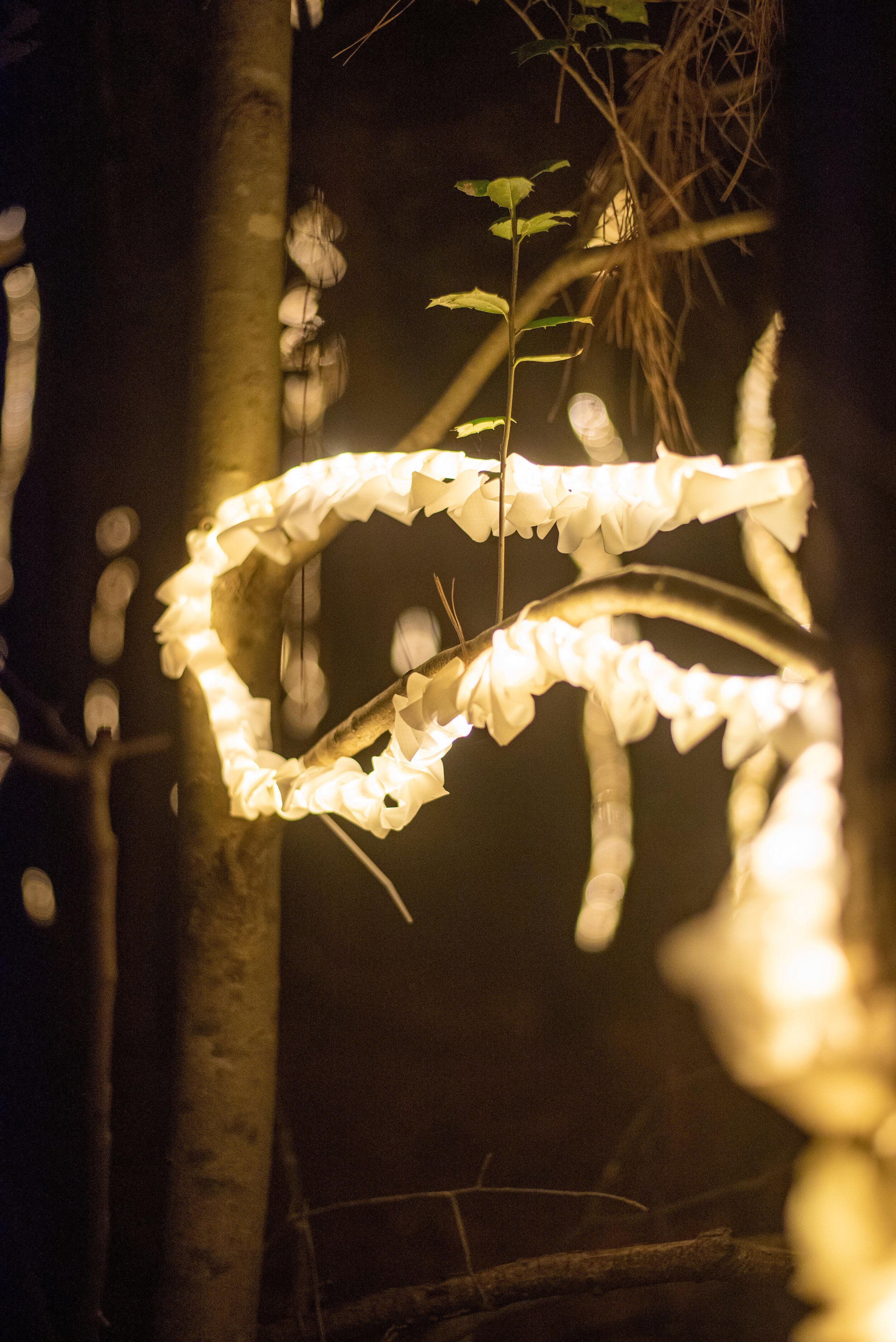 Vines, detail of larger site-specific installation