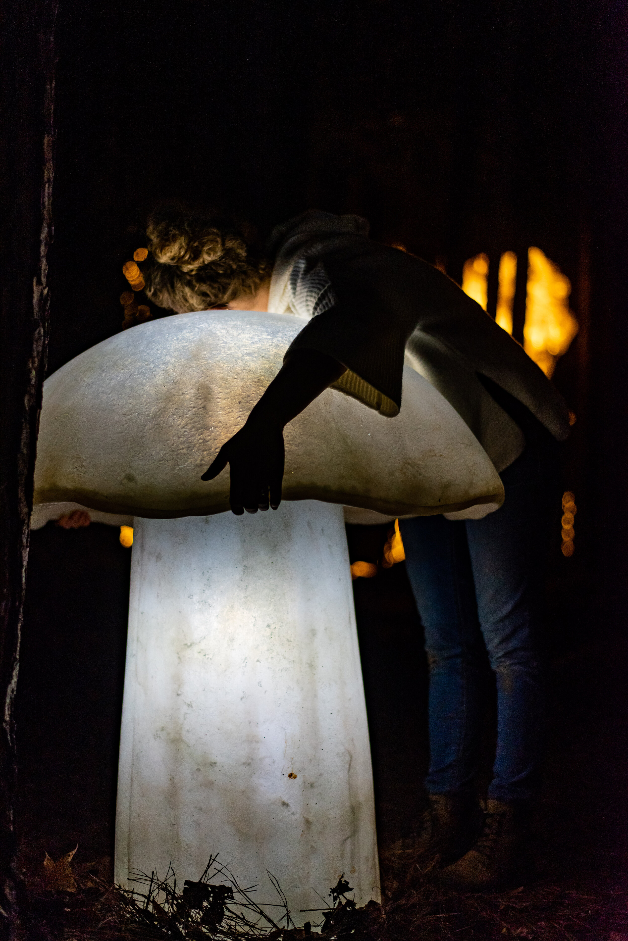 Mushroom & Meredith Connelly, detail of larger temporary site-specific installation 