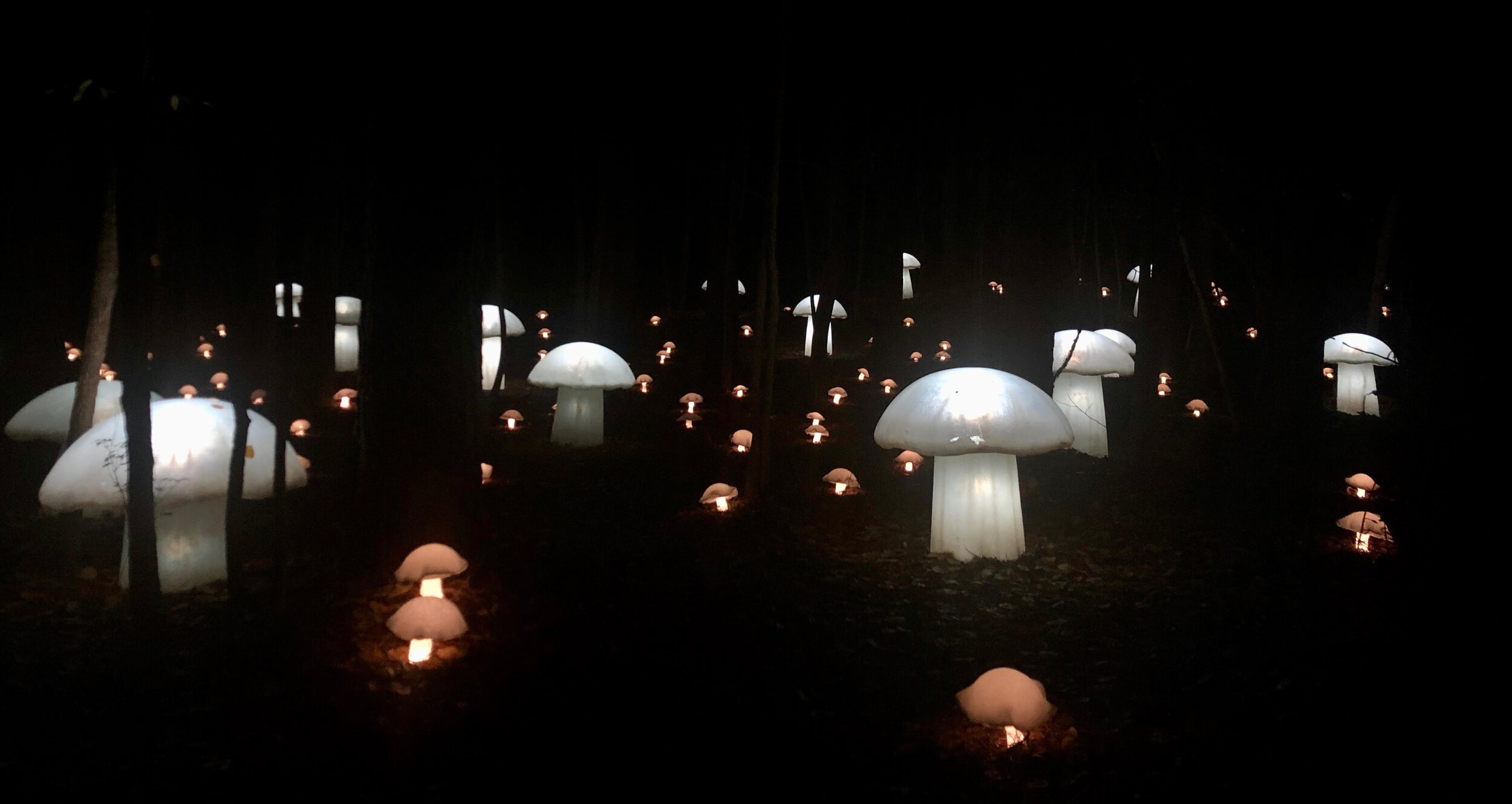 Mushrooms 2020,  temporary site-specific installation