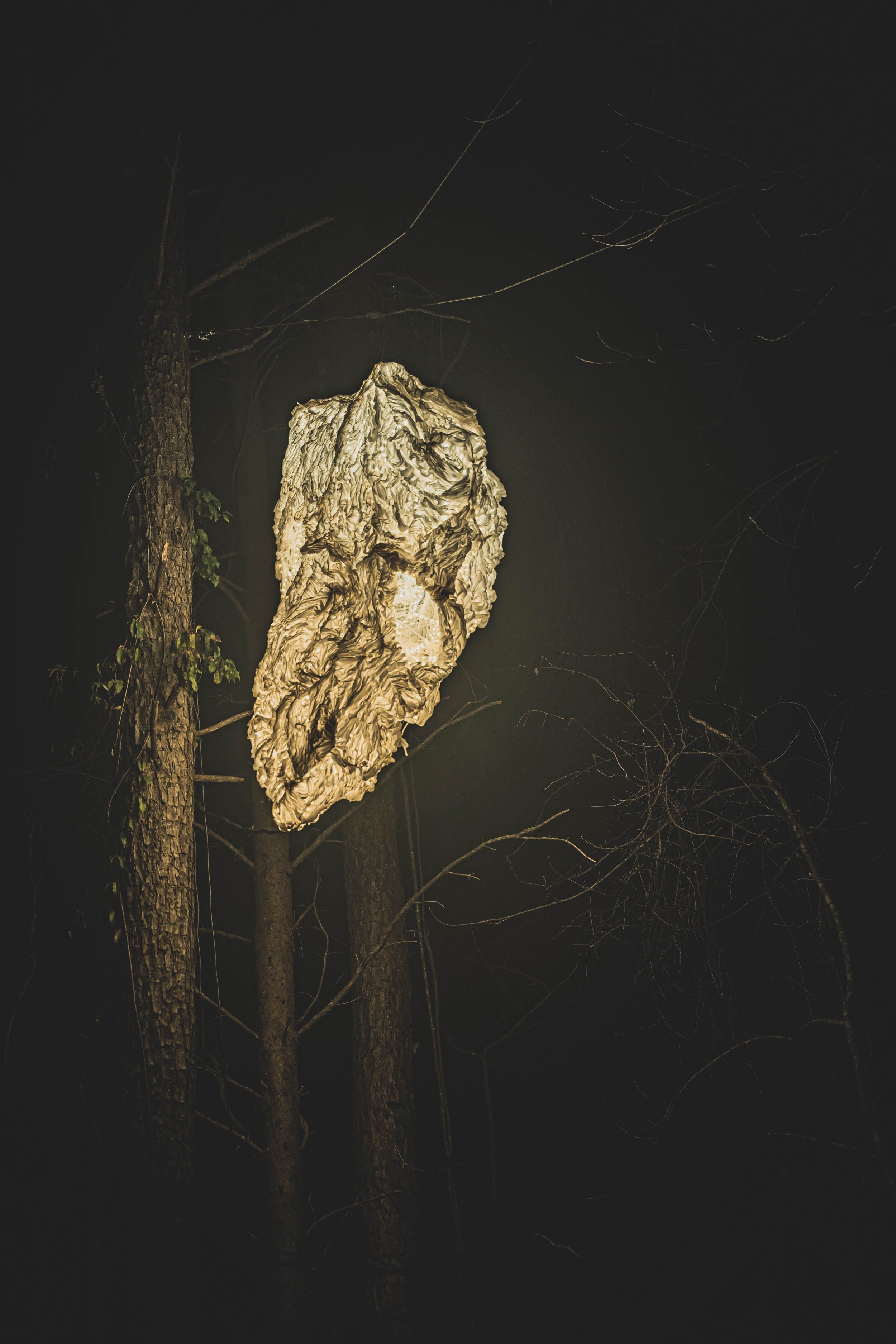 Wasp Nest, detail of larger temporary site-specific installation 