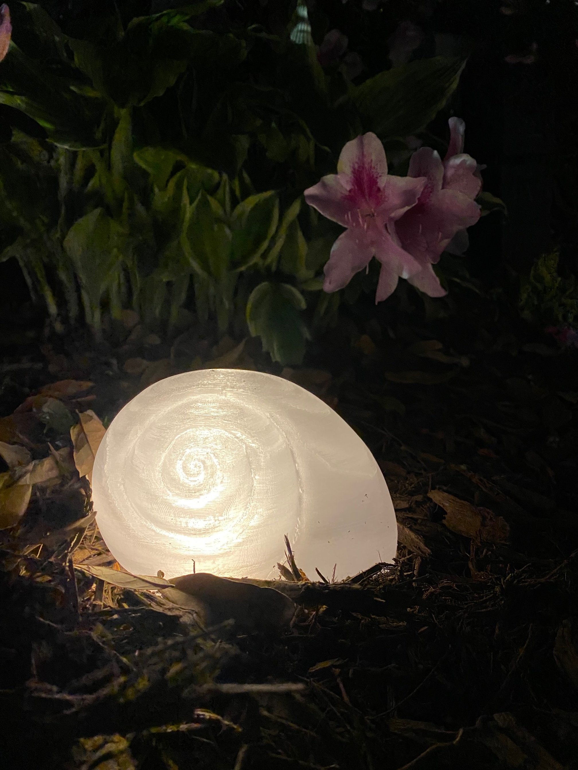 Snails (shot with azalea), detail of larger temporary site-specific installation