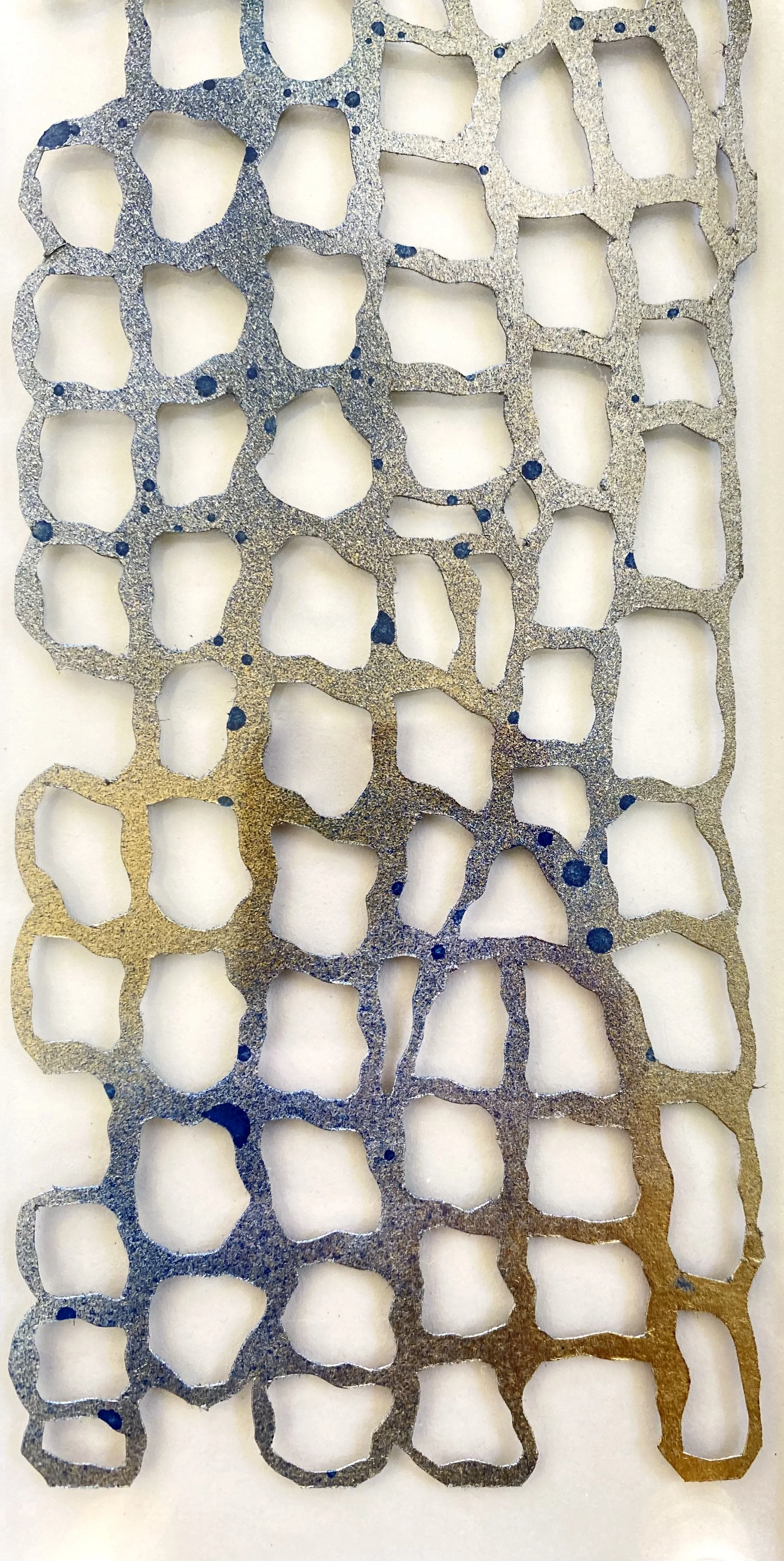 Dragonfly Three.jpeg