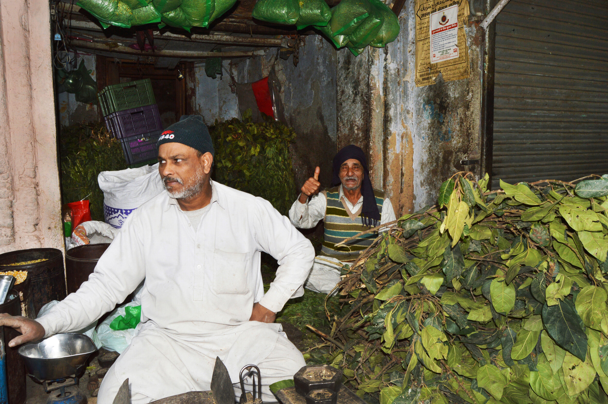  Bountiful leaf salesmen in Old Delhi. 