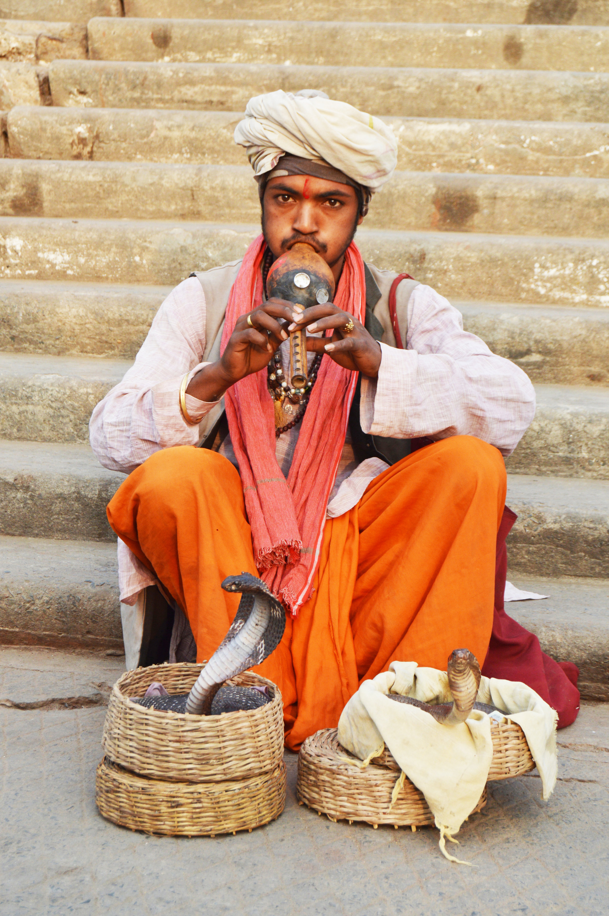  A Varanasi snake charmer. 