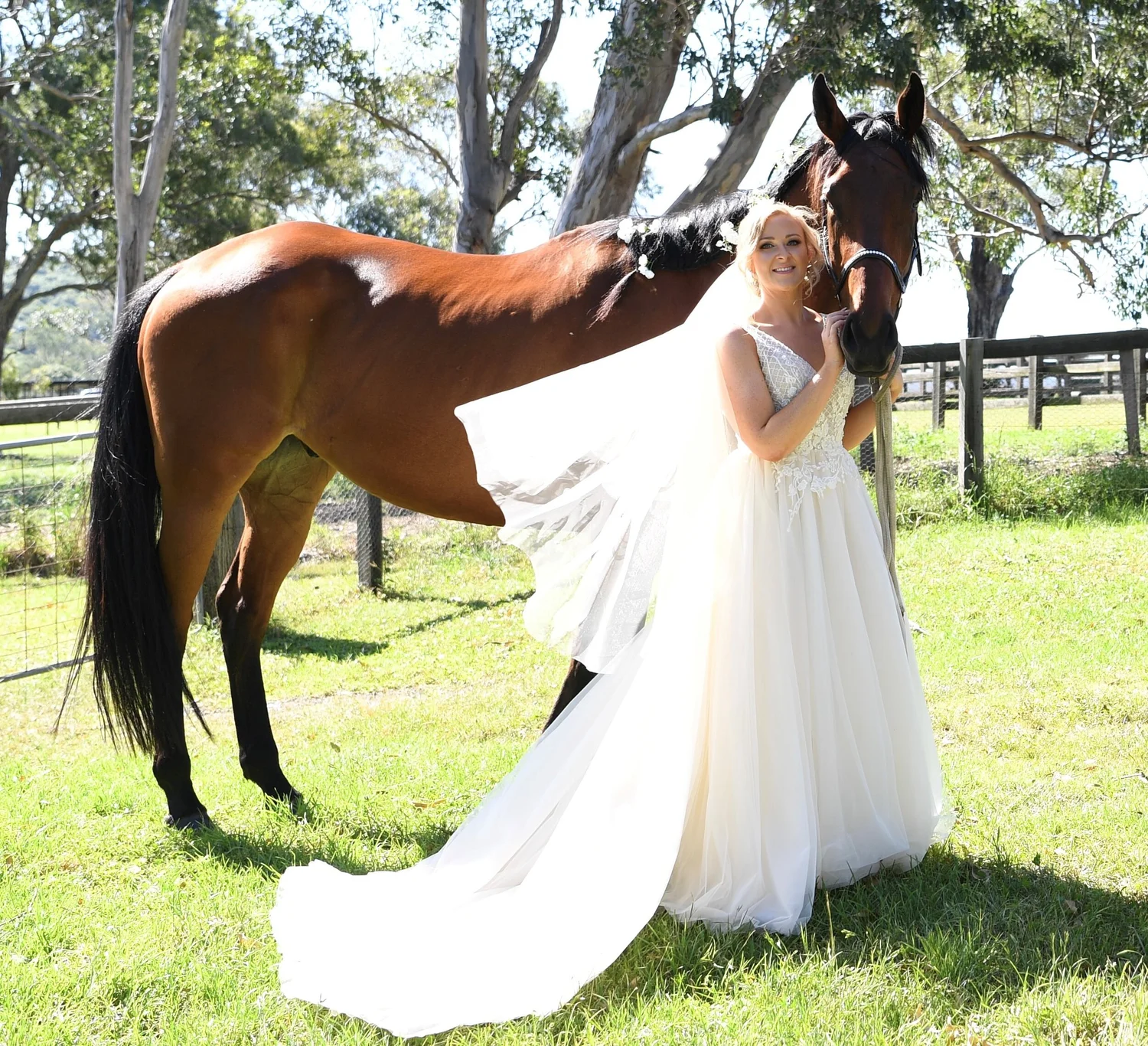 Horse photoshoot on the property