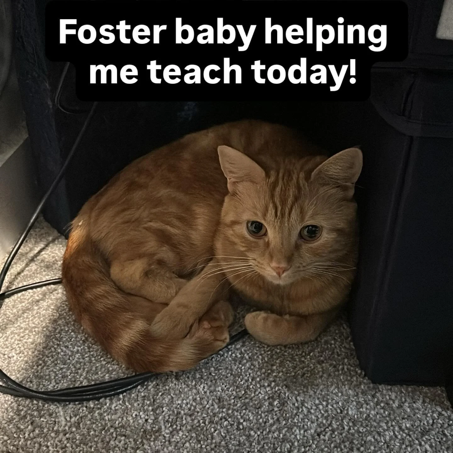 Cyra is helping me today.  She&rsquo;s mostly here for morale 🥰 She did play a little piano though.  Mostly avant-garde jazz improv.