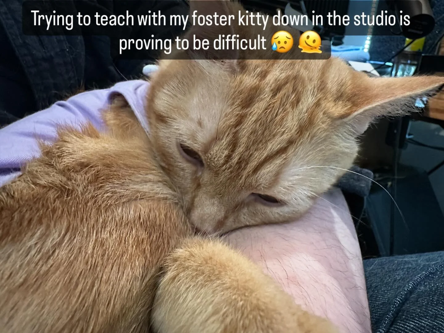 I need my hands!&hellip; Oh ok. Everyone&rsquo;s getting theory lectures today during their lesson! 😸