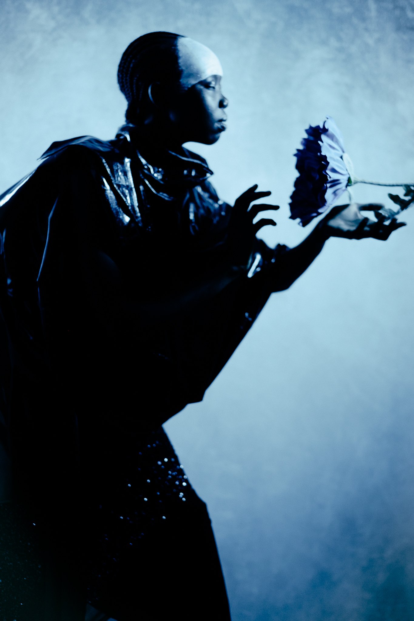 Dreamflower-08.jpg
