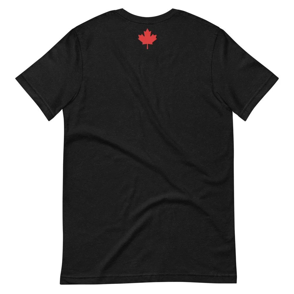 unisex-staple-t-shirt-black-heather-back-62101895339d9.jpg