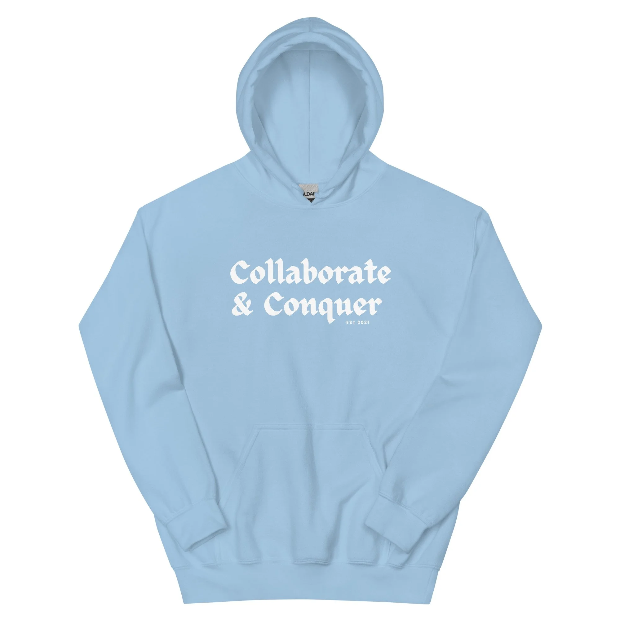 unisex-heavy-blend-hoodie-light-blue-front-6663817da46cf.jpg