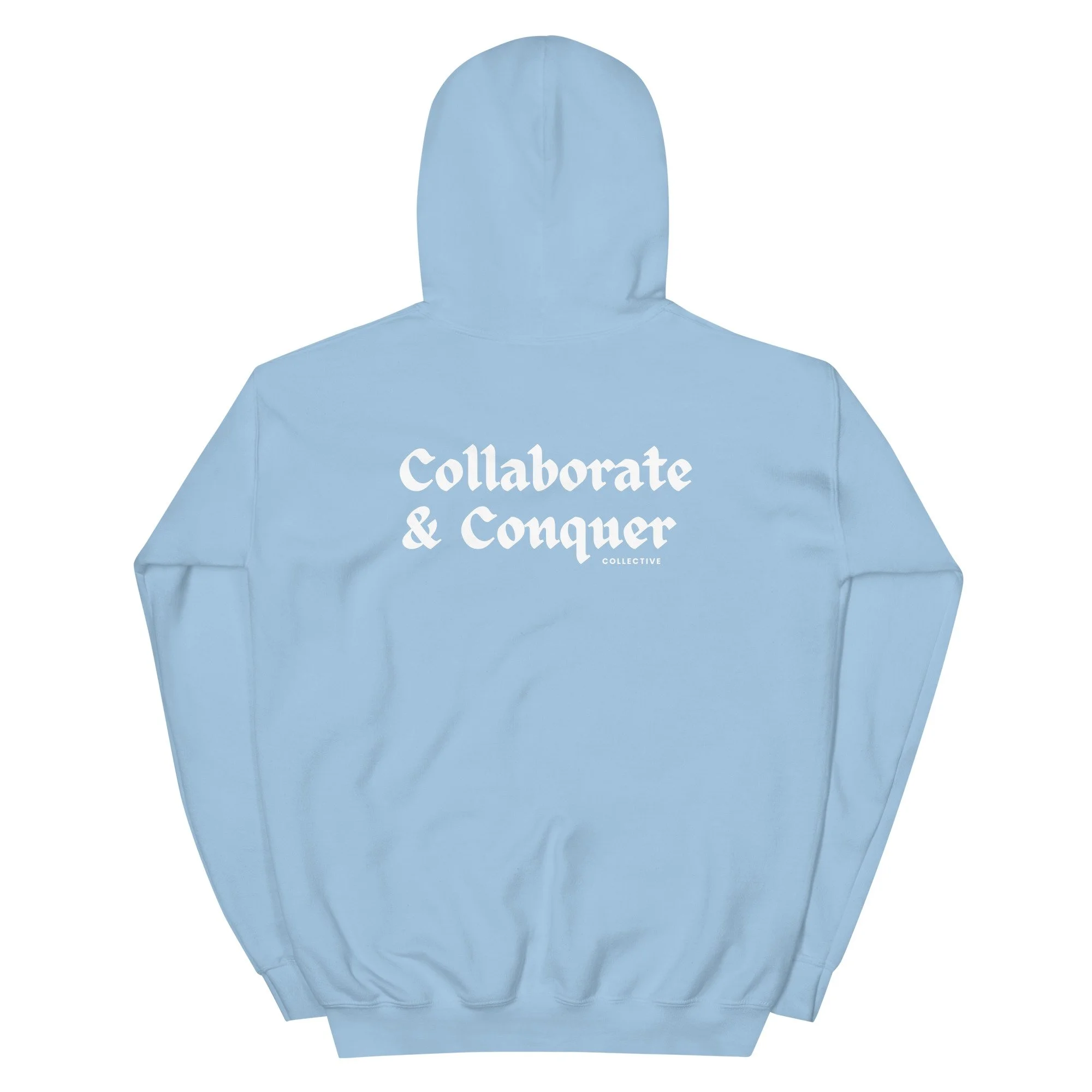 unisex-heavy-blend-hoodie-light-blue-back-6663817da7c96.jpg