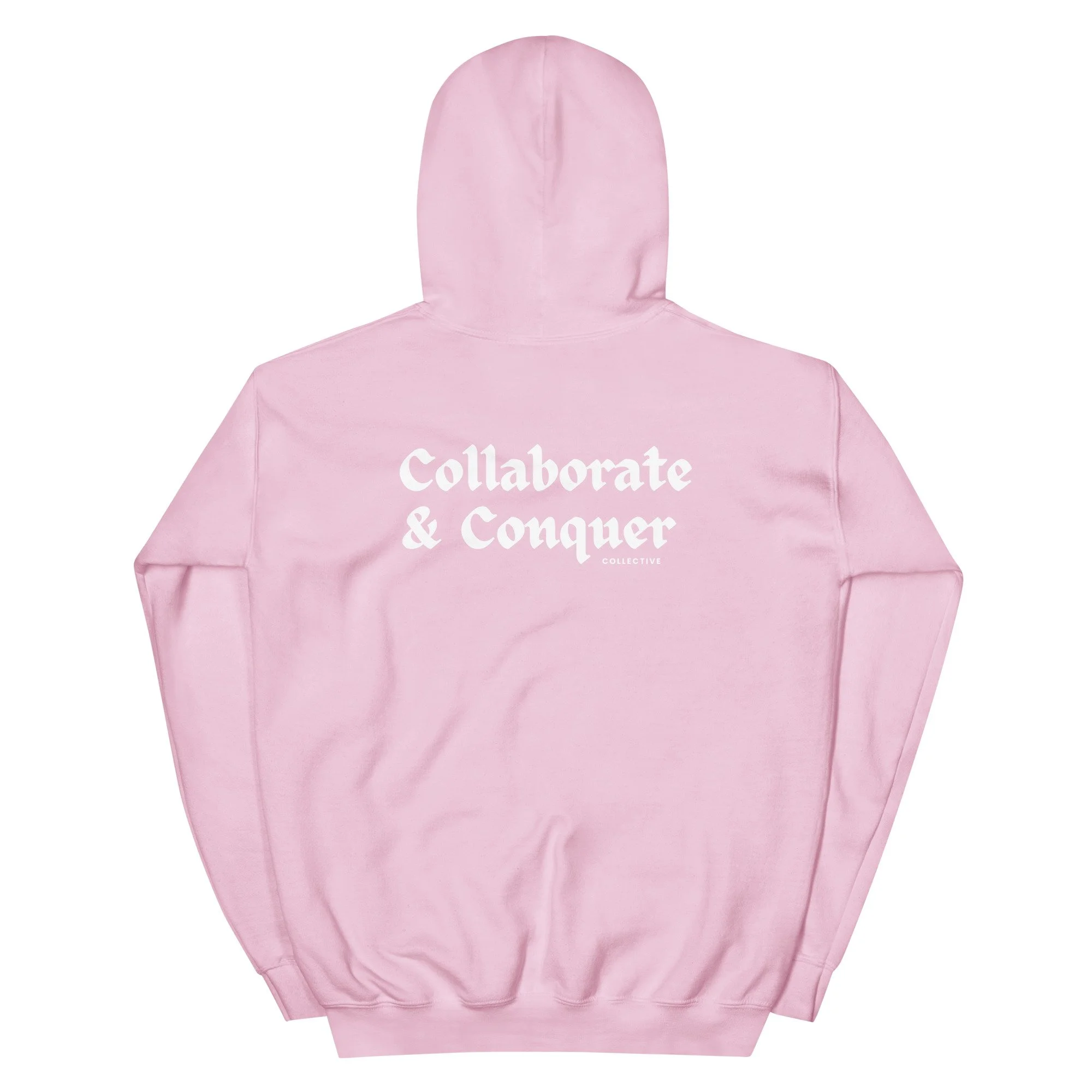 unisex-heavy-blend-hoodie-light-pink-back-6663817db21f2.jpg
