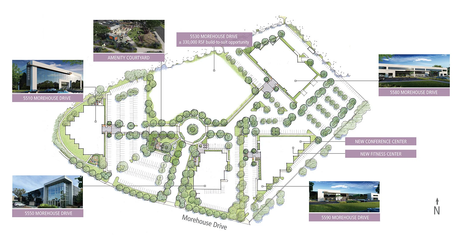 Genesis Board--Site Plan.jpg