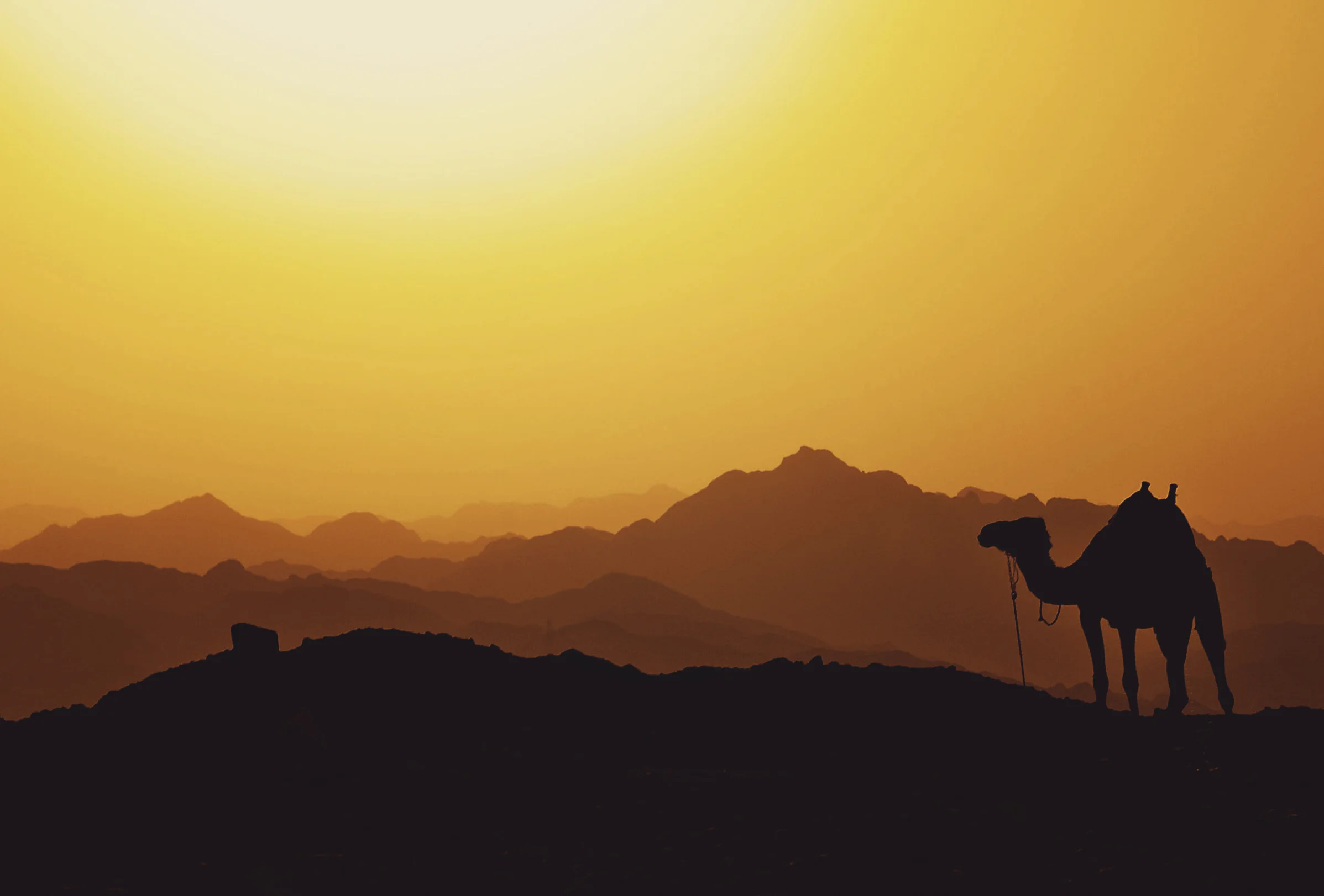 Tensions rise in the Middle East