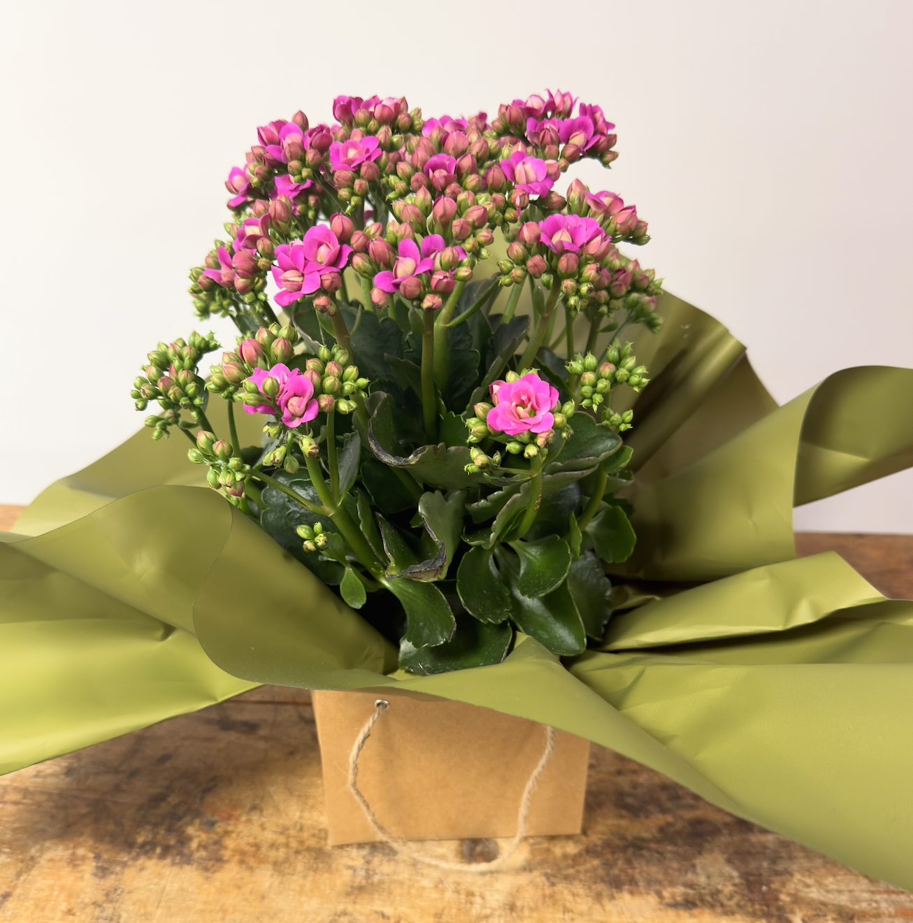 Screenshot 2026-04-15 at 12.47.17 PM.png