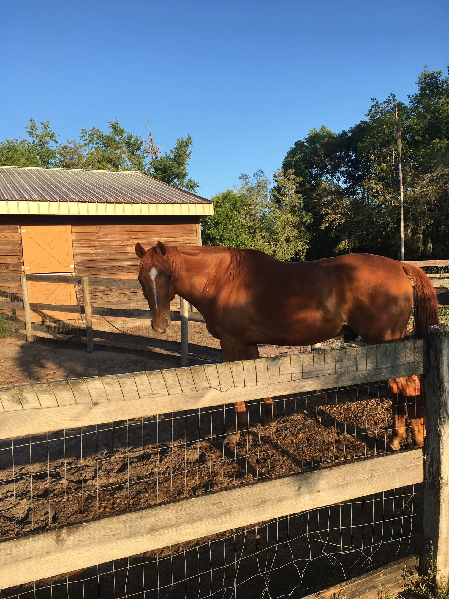 O-Town Compost's vision for the future
