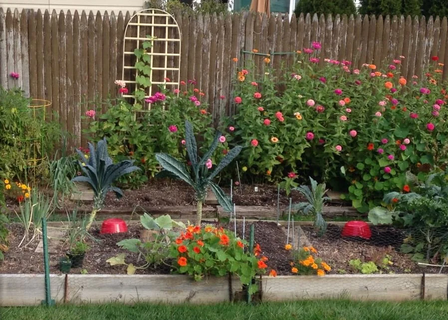 Worm Composting Lodge (DIY)