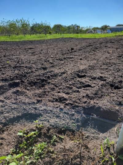 Everoak Farm using Compost