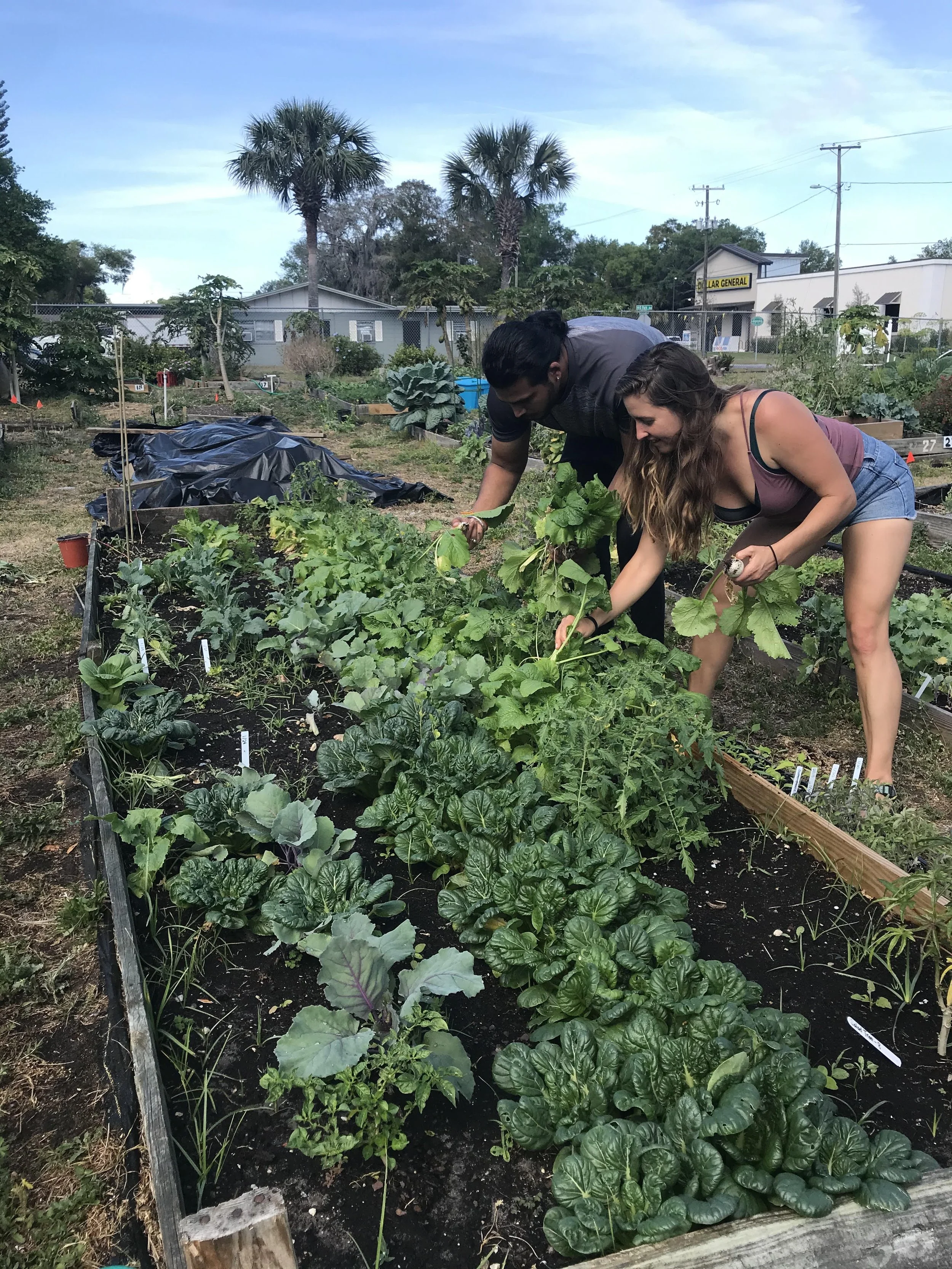 Orlando's Community Composting Blog — OTown Compost