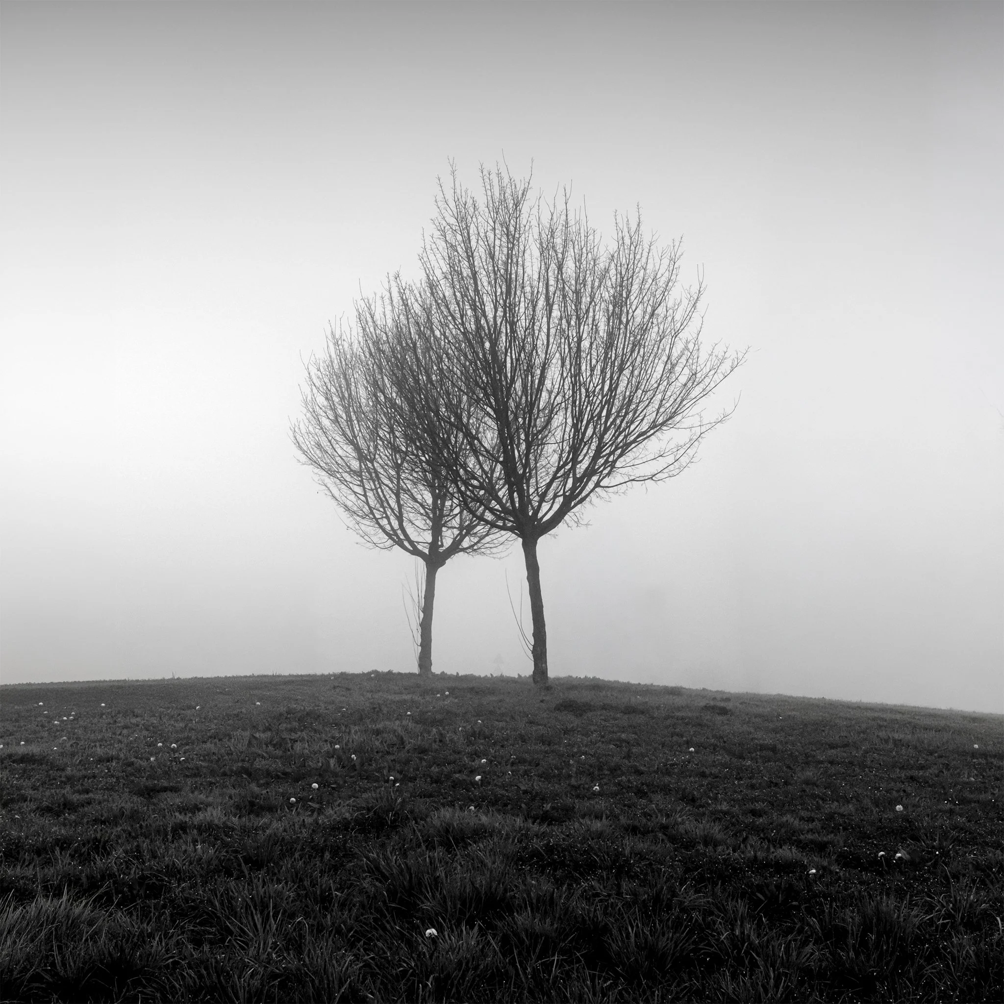 _A8A5813_Uncertainty_VI copy.jpg