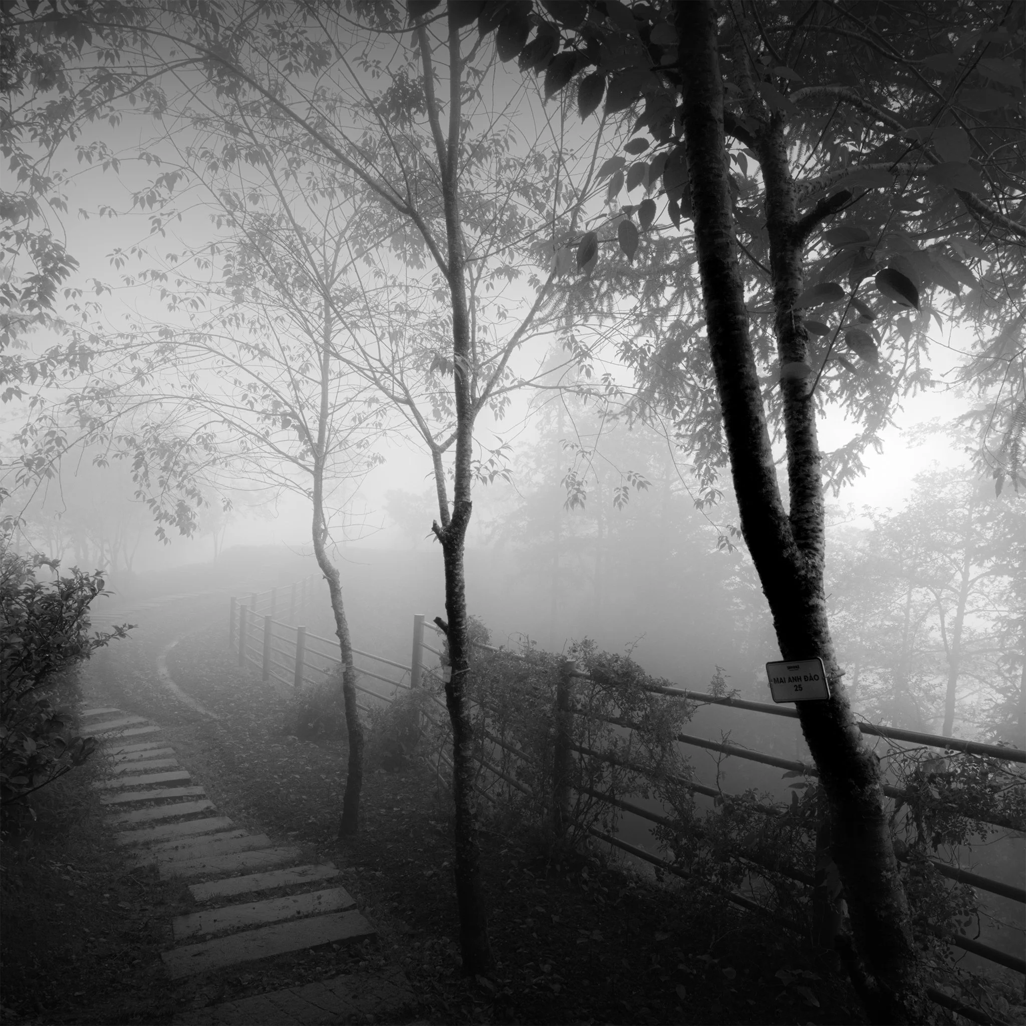 _89A6947 copy_Muong Hoa.jpg