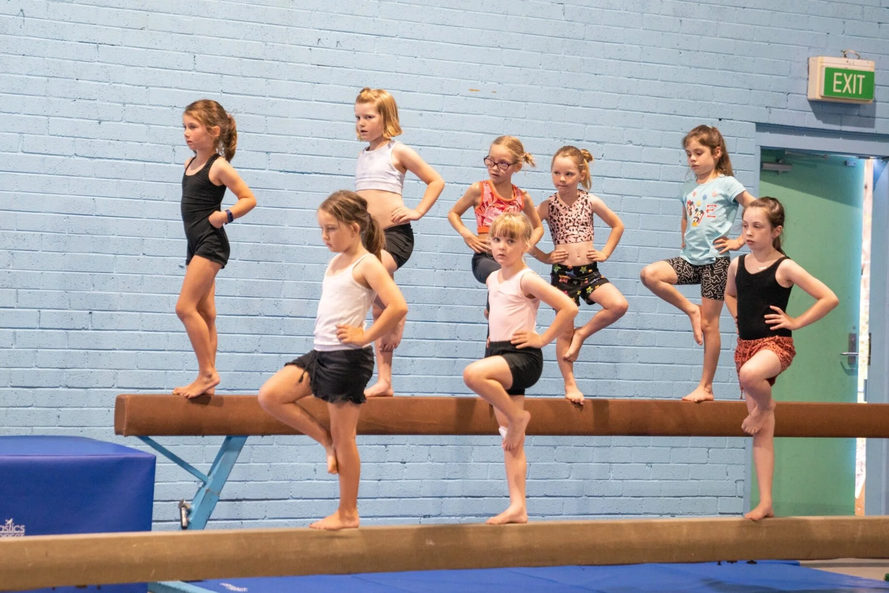GYMNASTICS — Treetop Arts