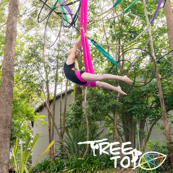 AERIALS — Treetop Arts
