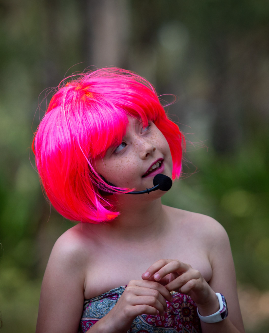 Gallery — Treetop Arts