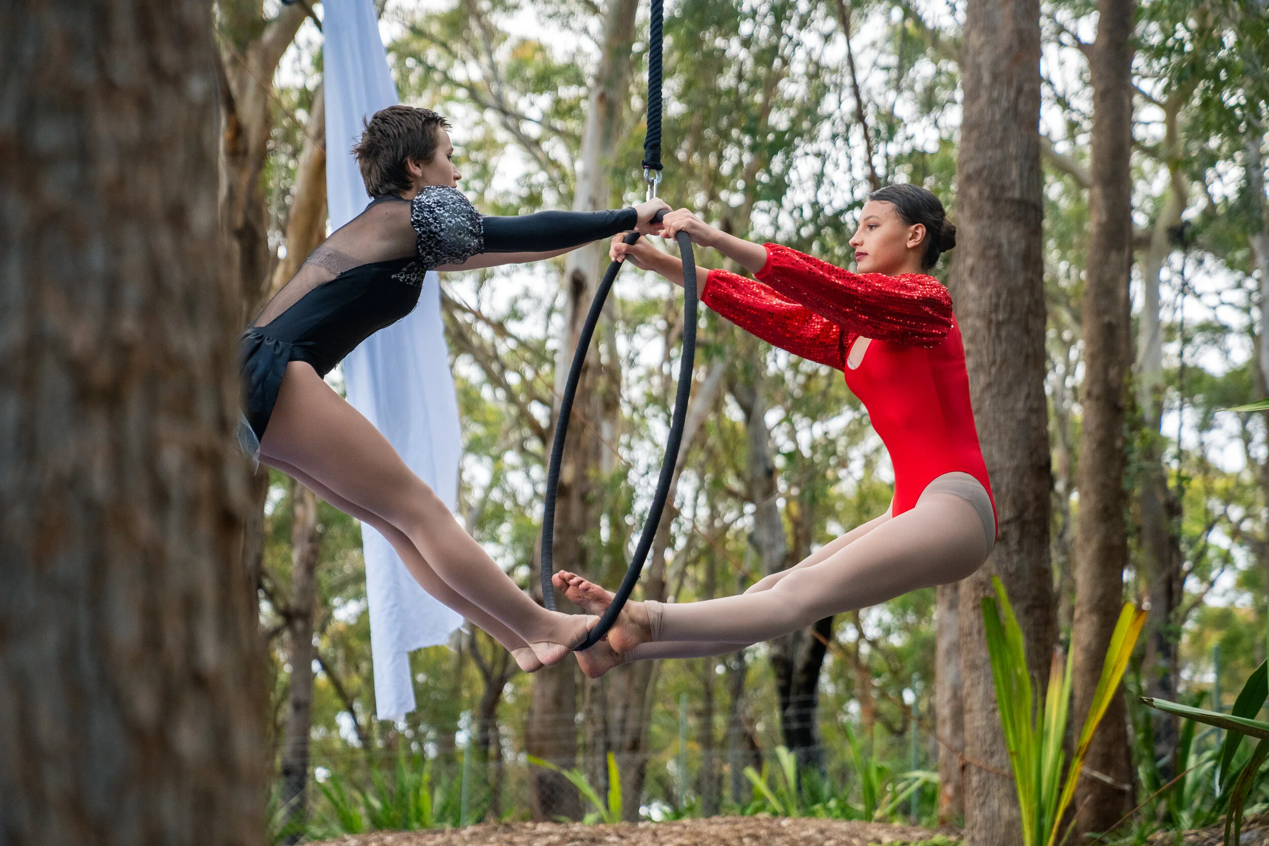 Timetable — Treetop Arts