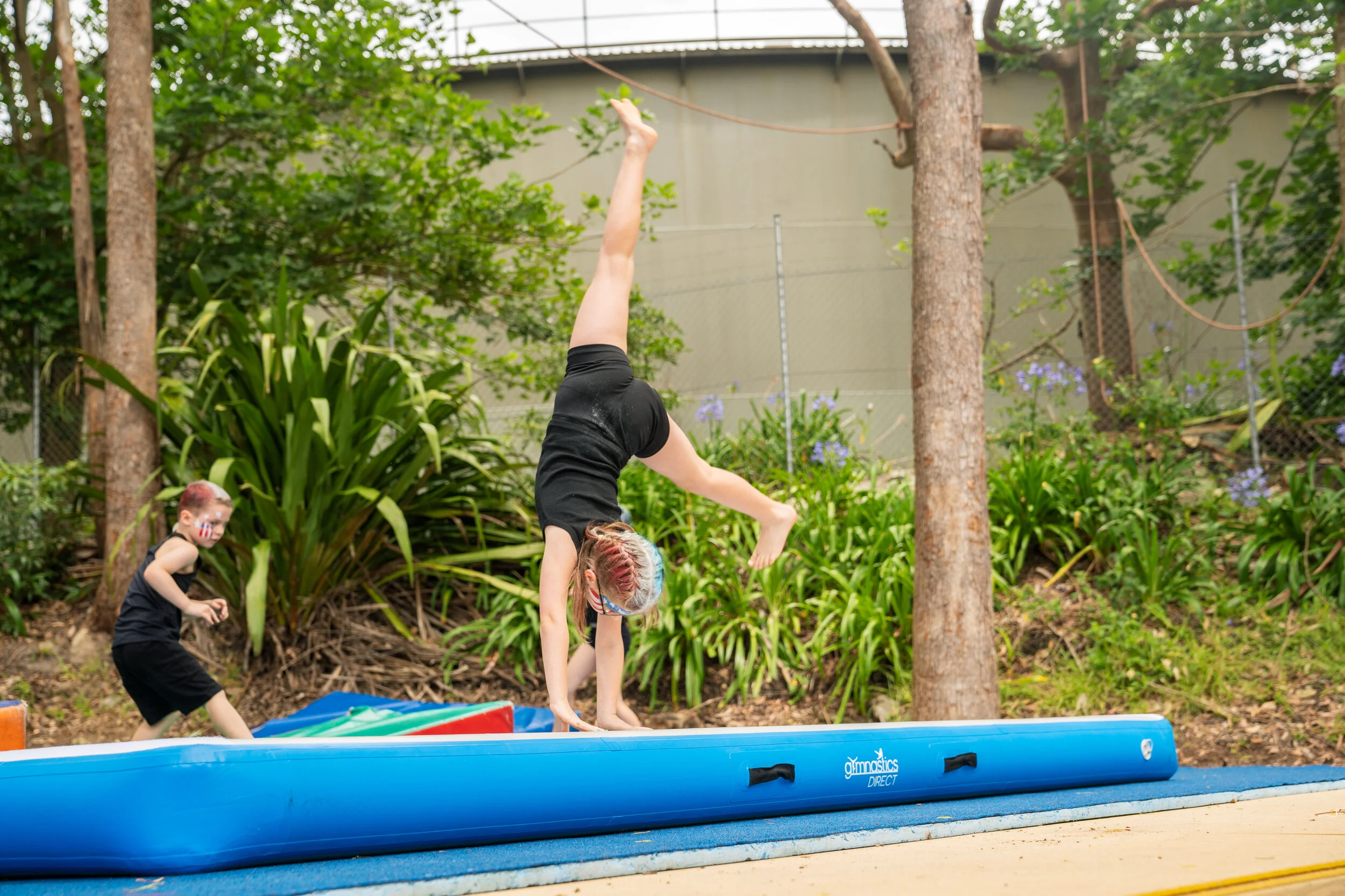 Gallery — Treetop Arts