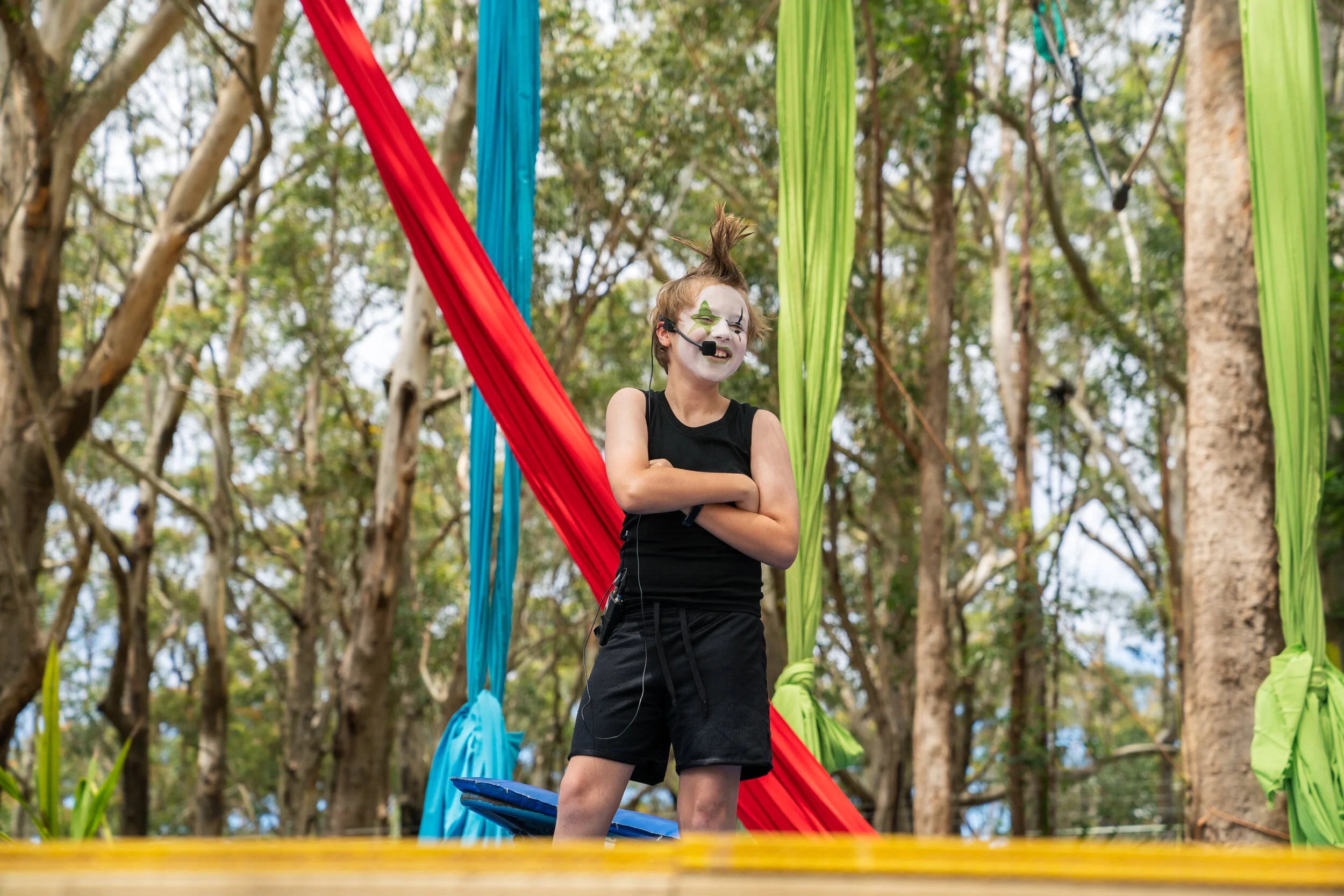 Gallery — Treetop Arts
