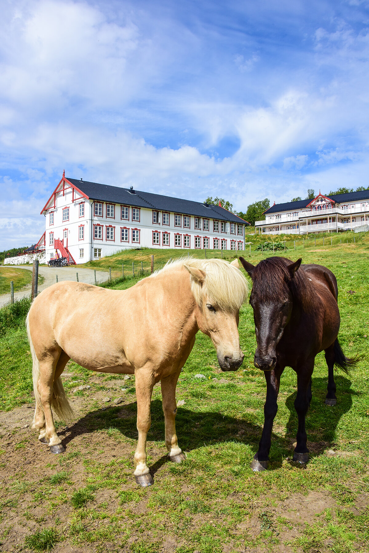 Dovre_biking_Torild_og_Ronny81.jpg